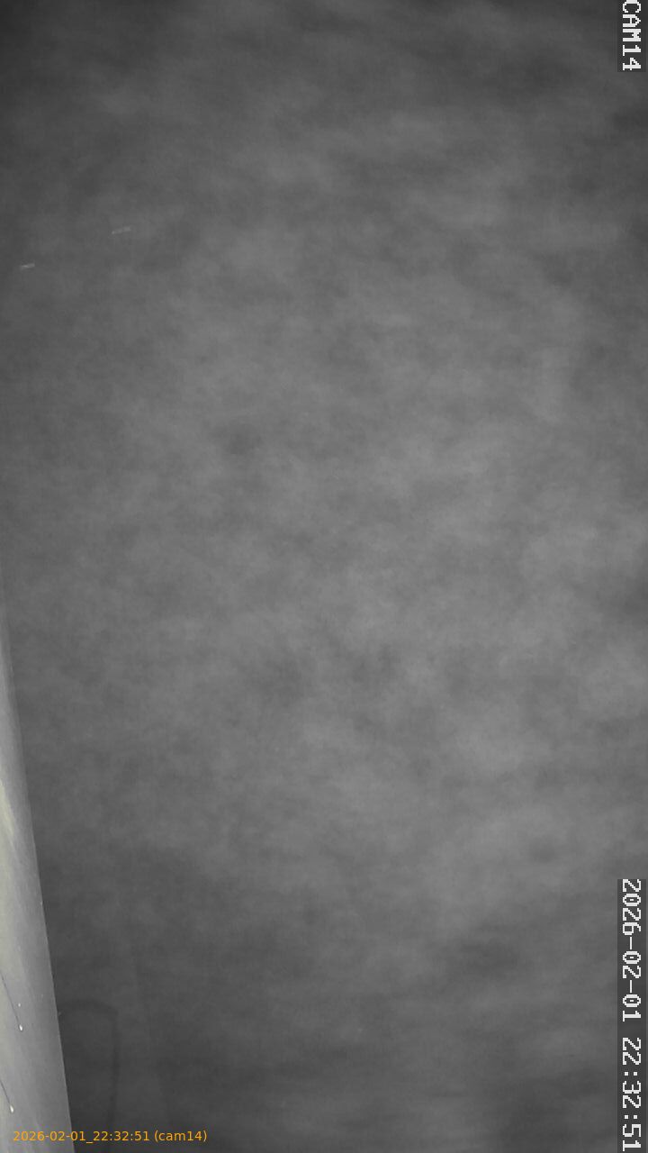 thumbnail_20260201223251