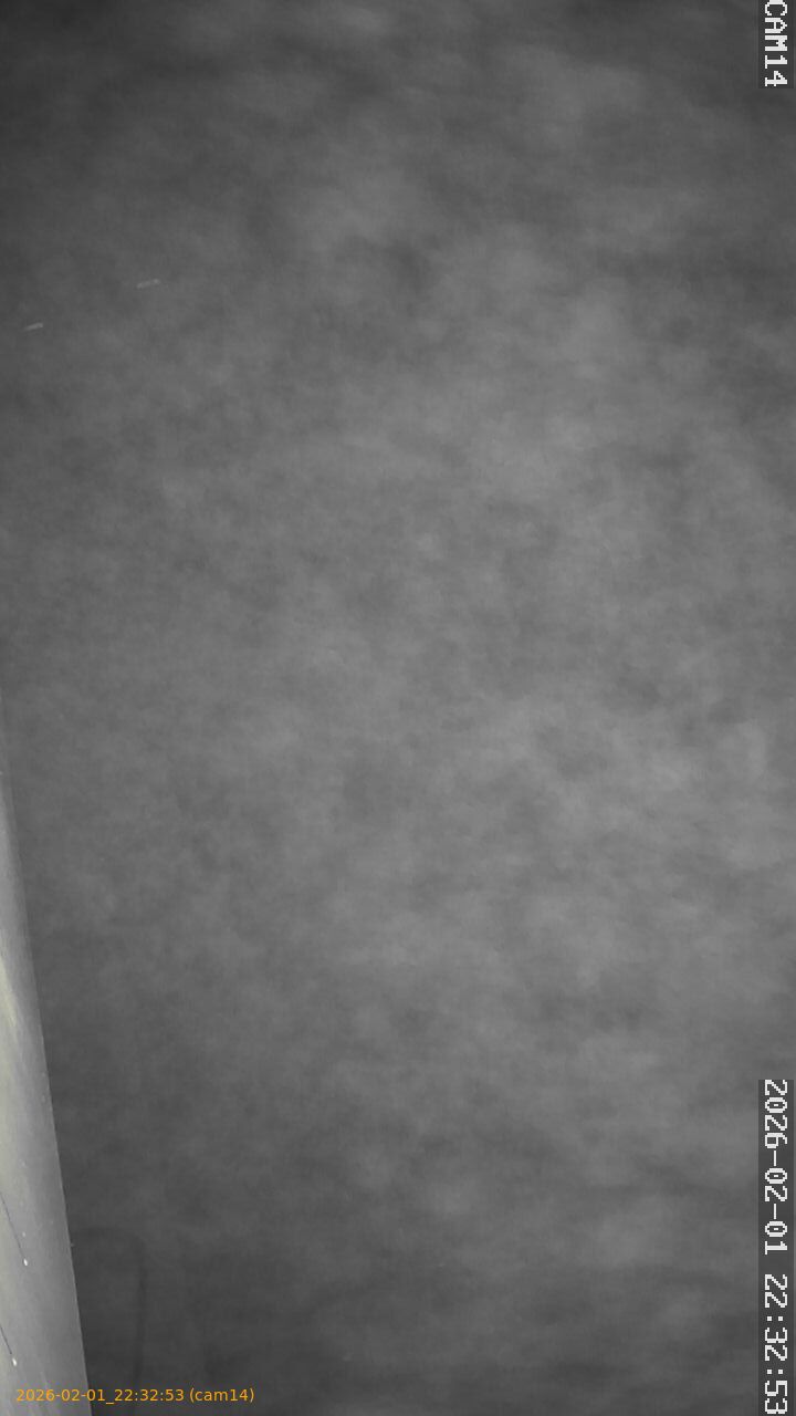 thumbnail_20260201223253