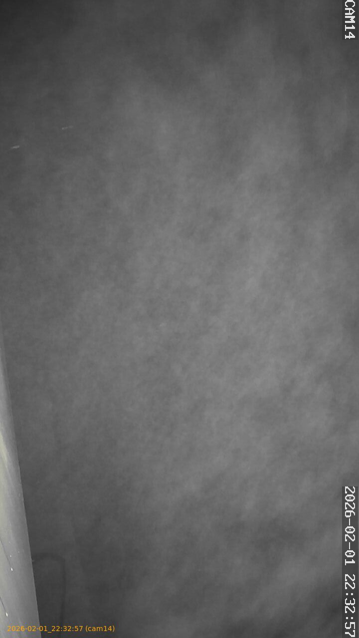 thumbnail_20260201223257