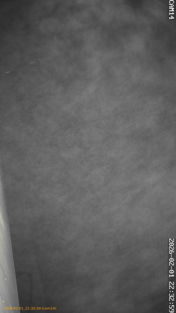 thumbnail_20260201223259