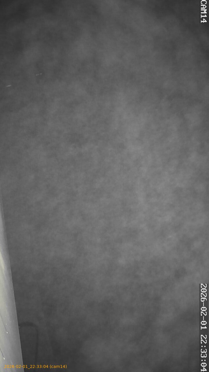 thumbnail_20260201223304