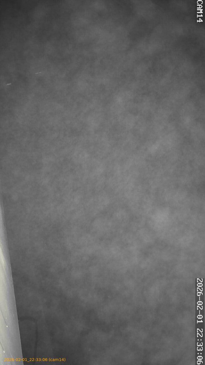 thumbnail_20260201223306