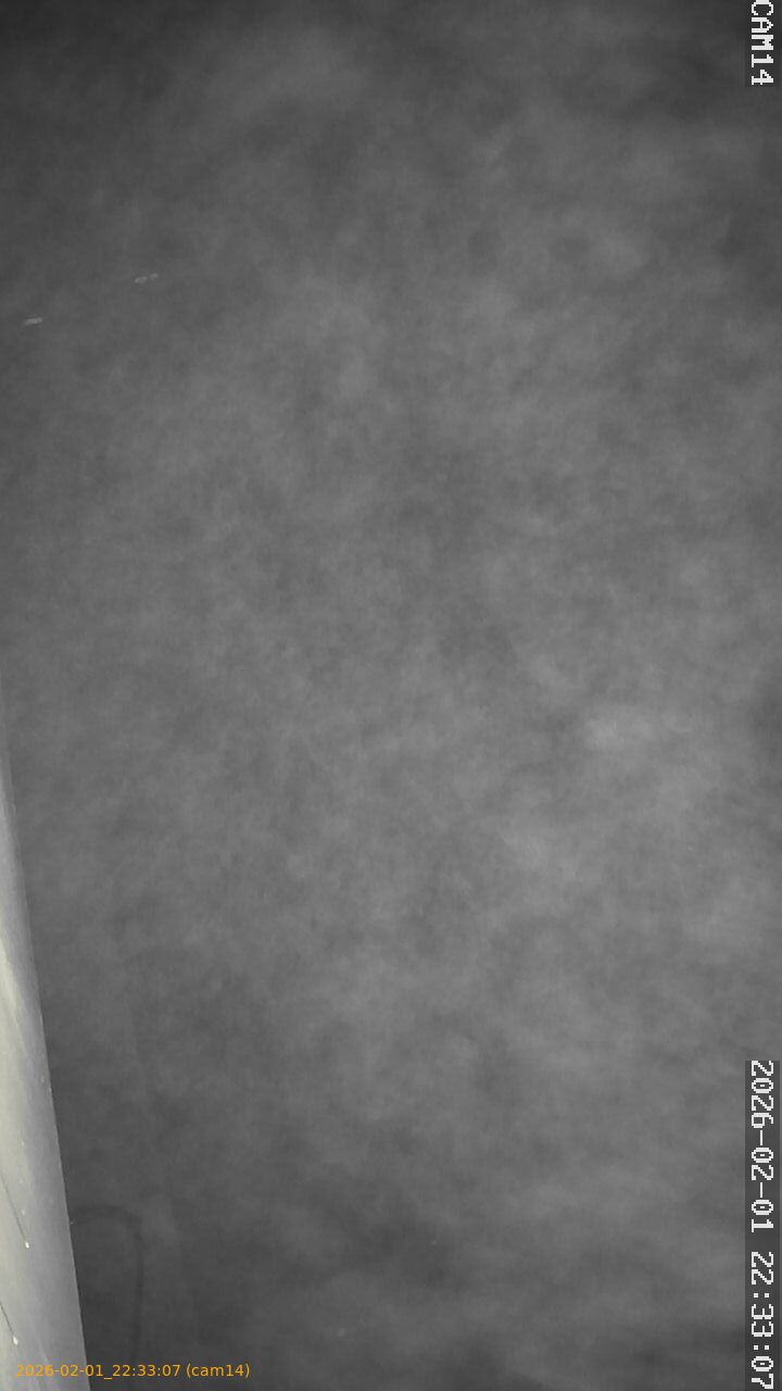 thumbnail_20260201223307