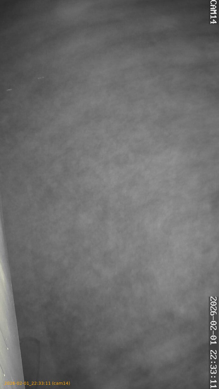 thumbnail_20260201223311