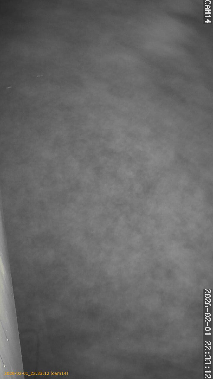 thumbnail_20260201223312