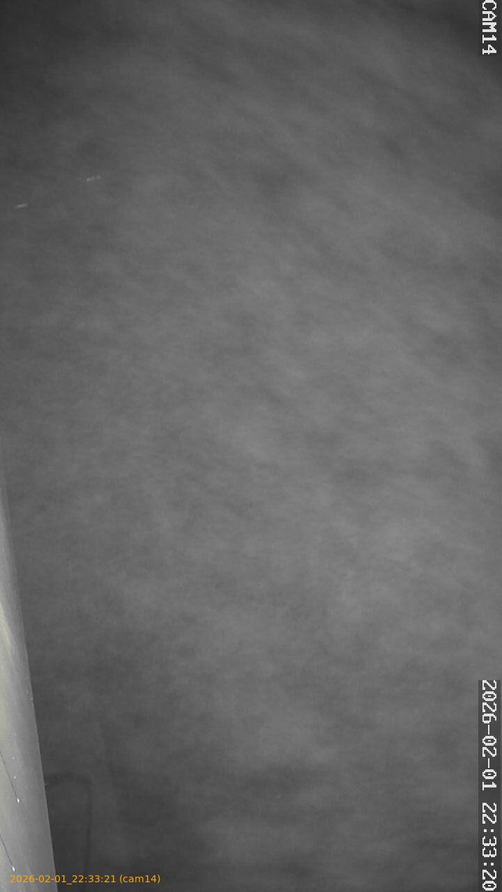 thumbnail_20260201223321