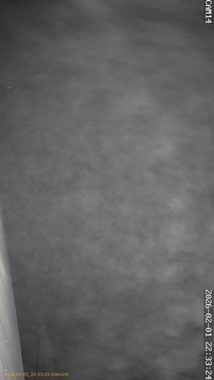 thumbnail_20260201223325