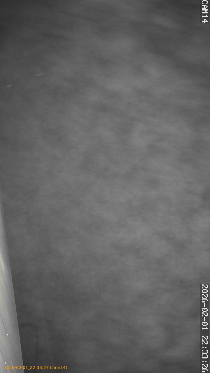 thumbnail_20260201223327