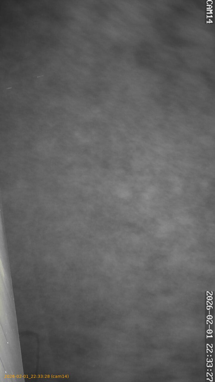 thumbnail_20260201223328