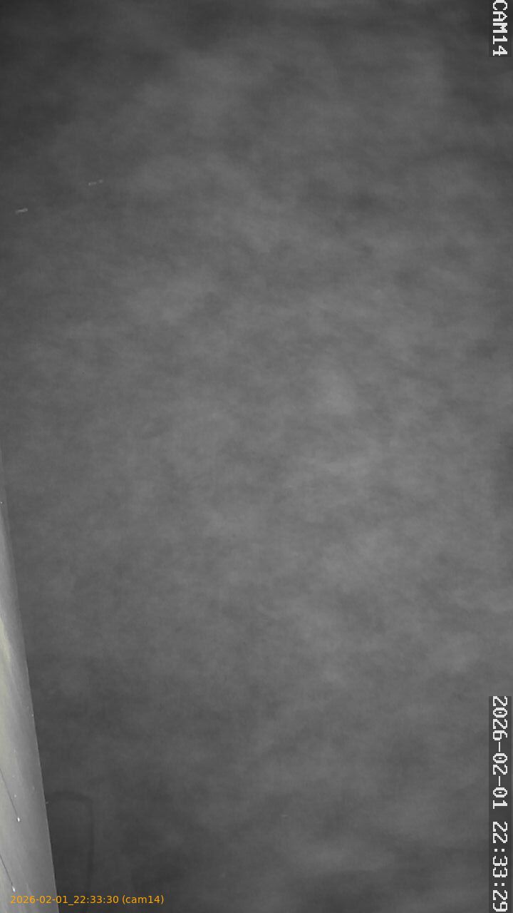 thumbnail_20260201223330