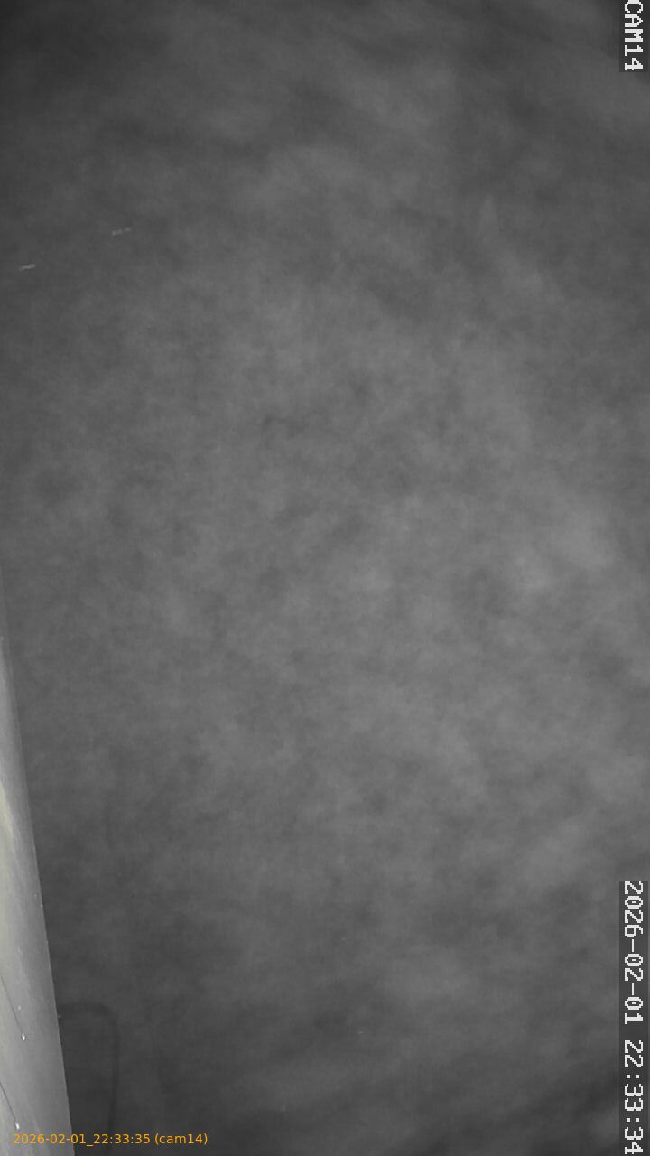 thumbnail_20260201223335