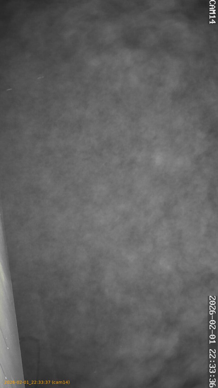 thumbnail_20260201223337