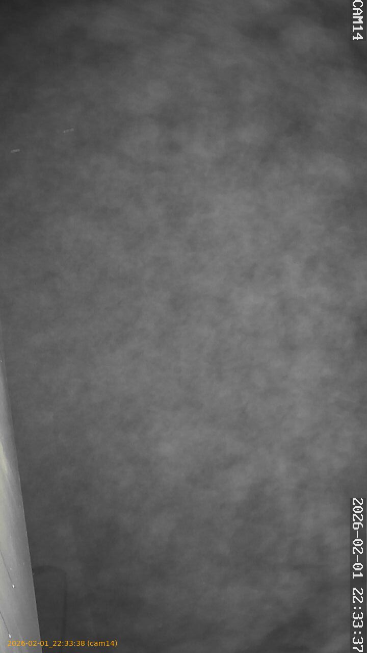 thumbnail_20260201223338