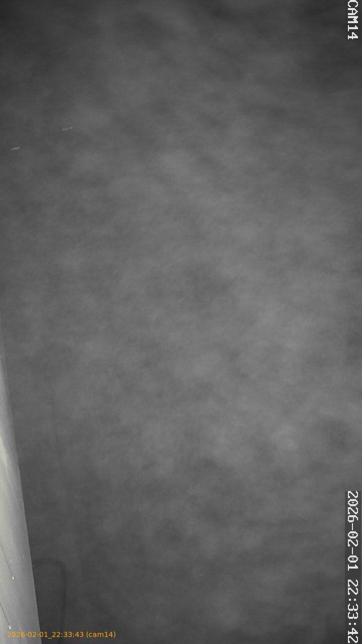 thumbnail_20260201223343