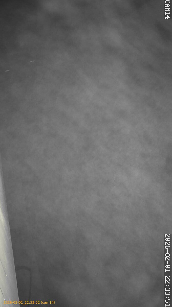 thumbnail_20260201223352