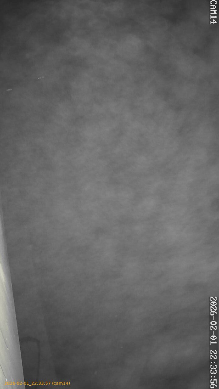 thumbnail_20260201223357