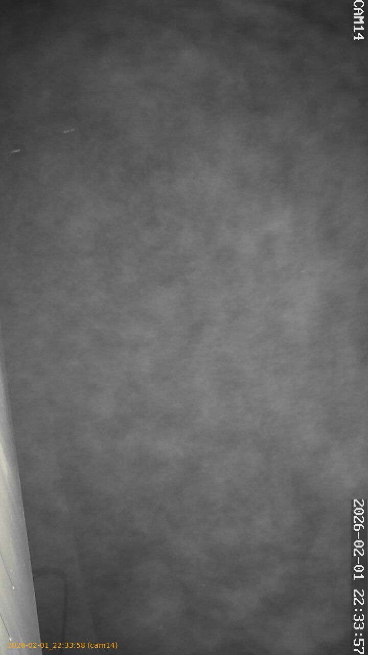 thumbnail_20260201223358