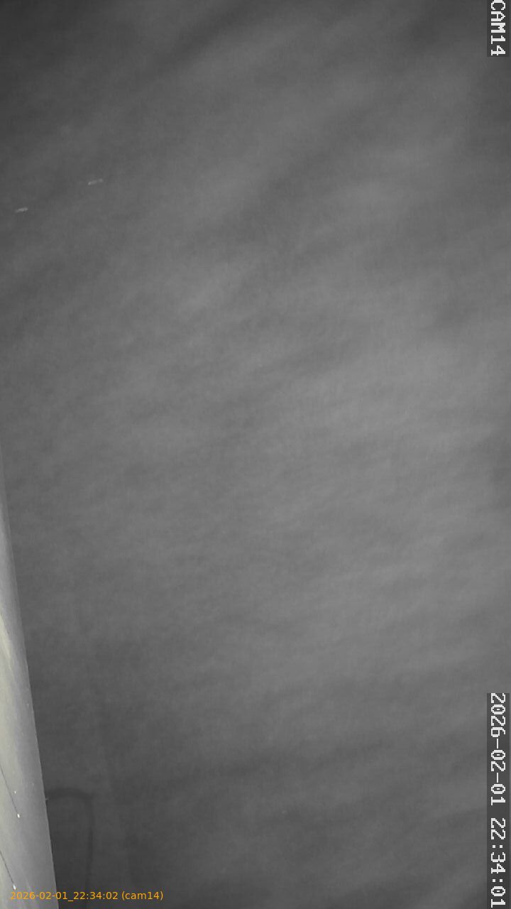 thumbnail_20260201223402