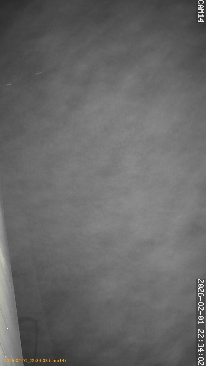 thumbnail_20260201223403