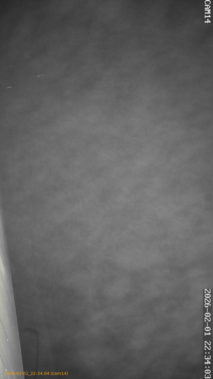 thumbnail_20260201223404