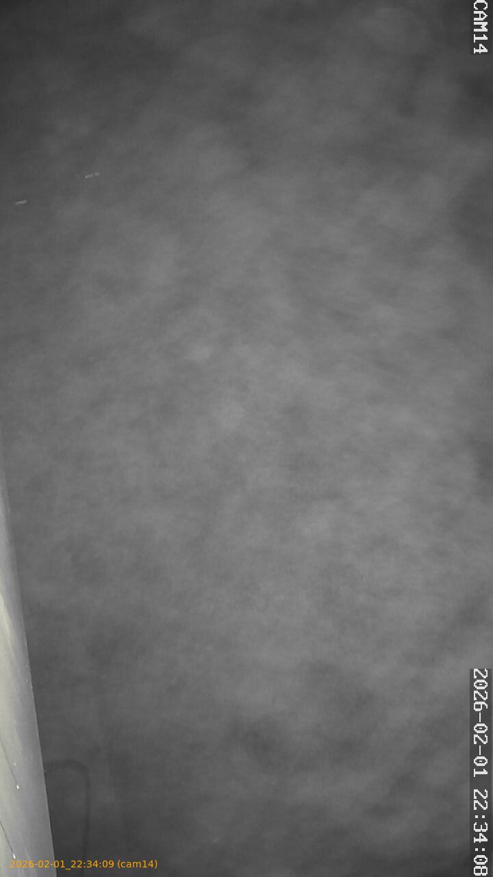 thumbnail_20260201223409