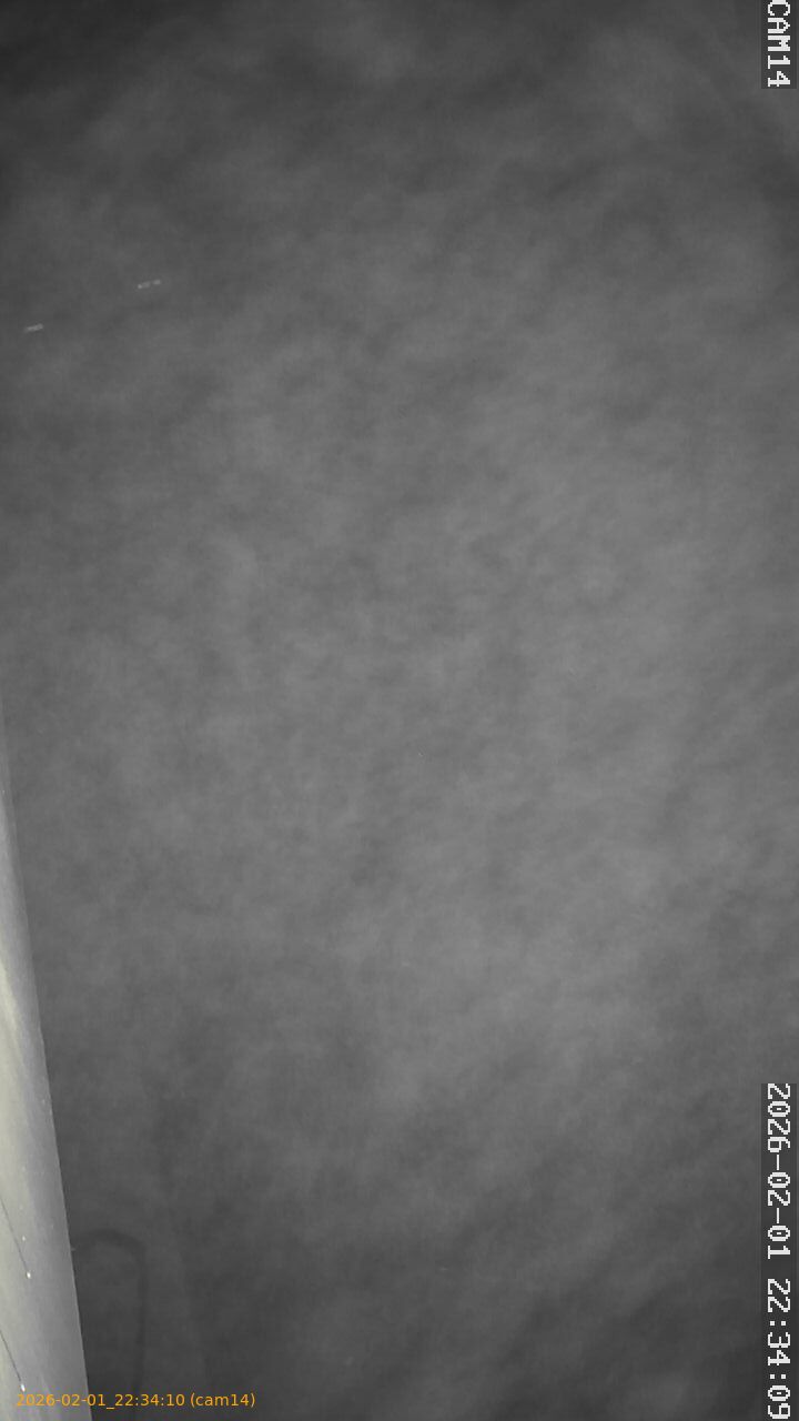 thumbnail_20260201223410