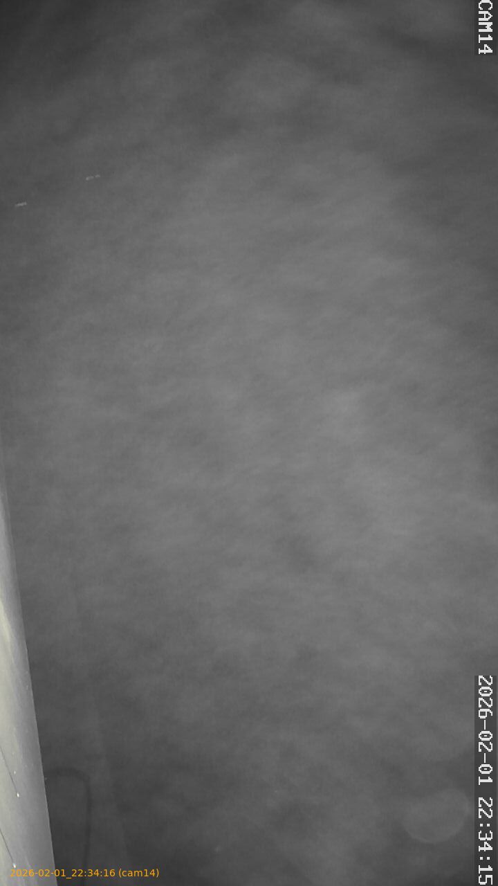 thumbnail_20260201223416