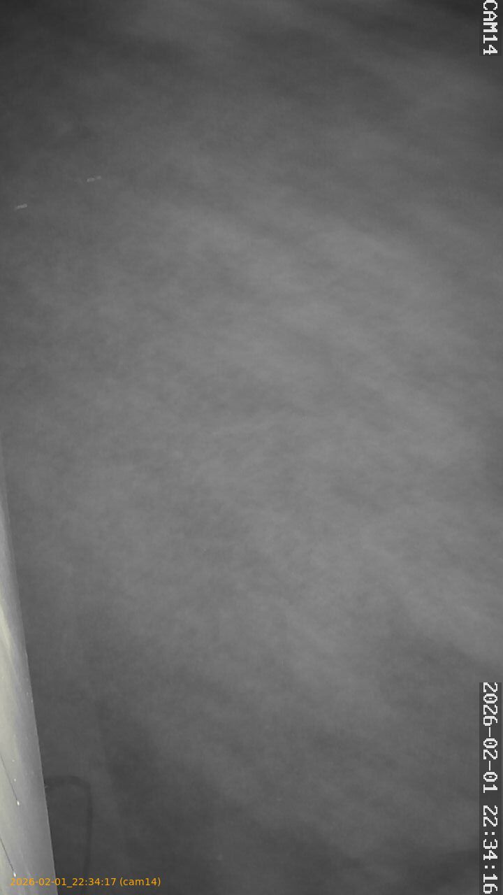 thumbnail_20260201223417