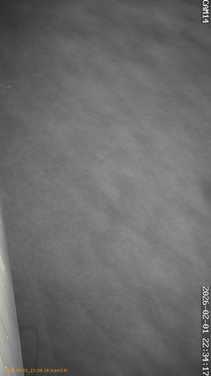 thumbnail_20260201223418