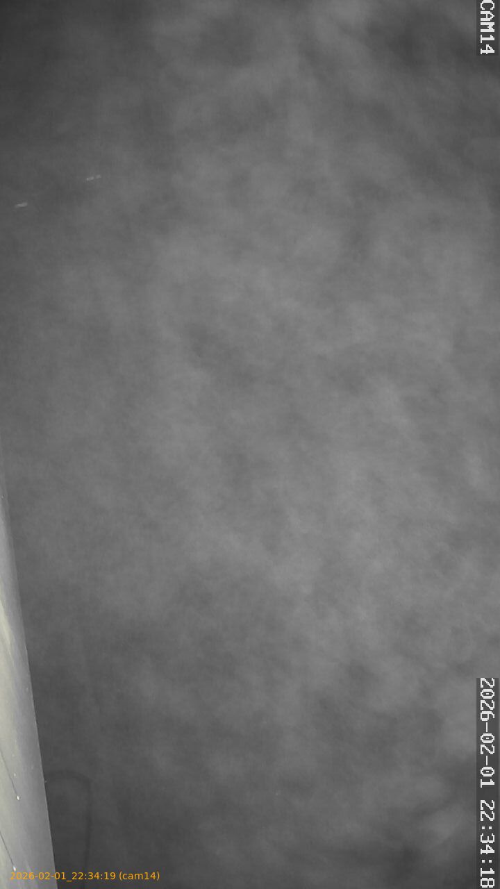 thumbnail_20260201223419