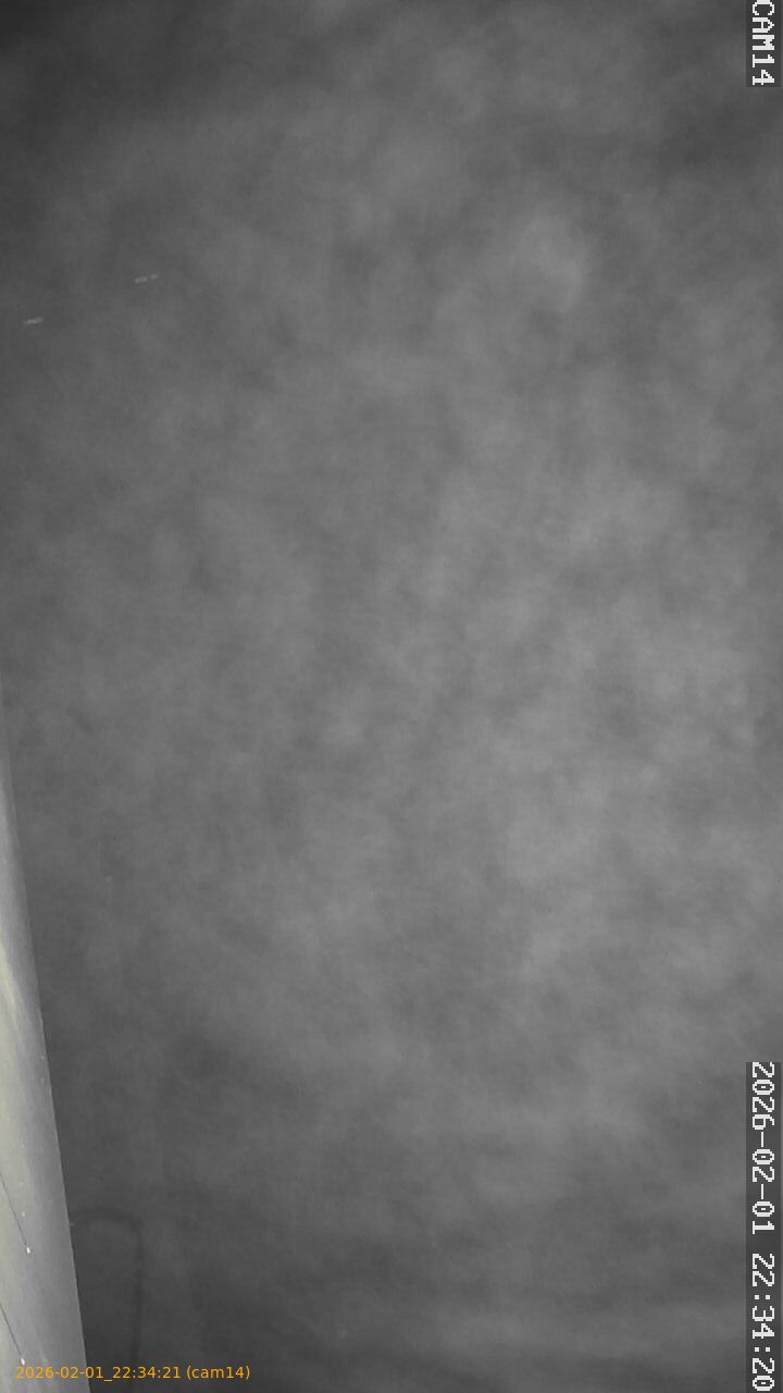 thumbnail_20260201223421