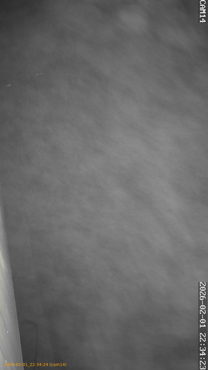 thumbnail_20260201223424