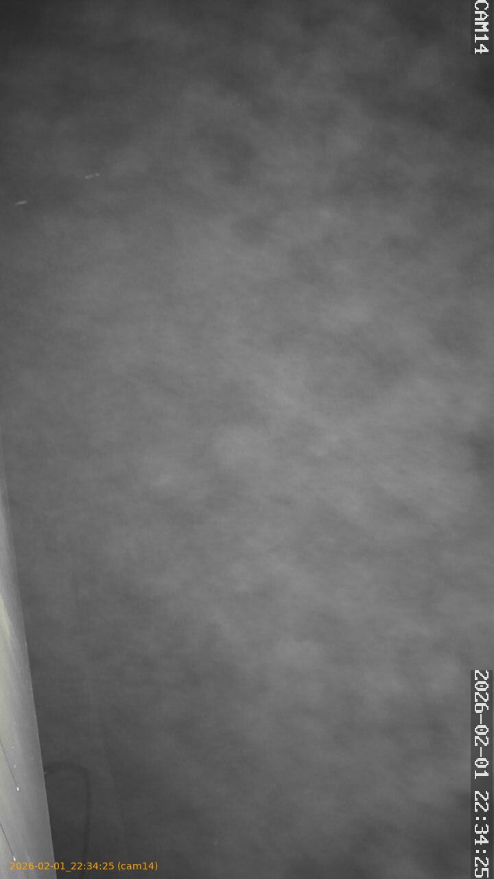 thumbnail_20260201223425