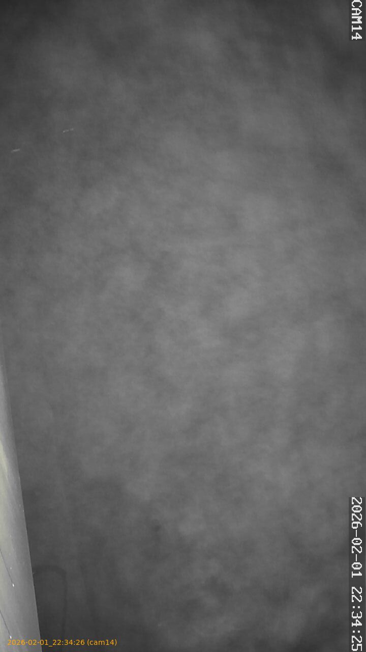 thumbnail_20260201223426