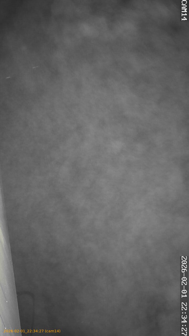 thumbnail_20260201223427