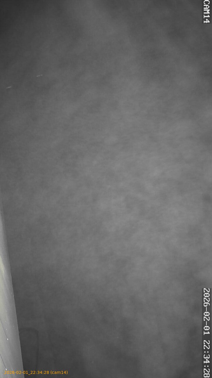 thumbnail_20260201223428