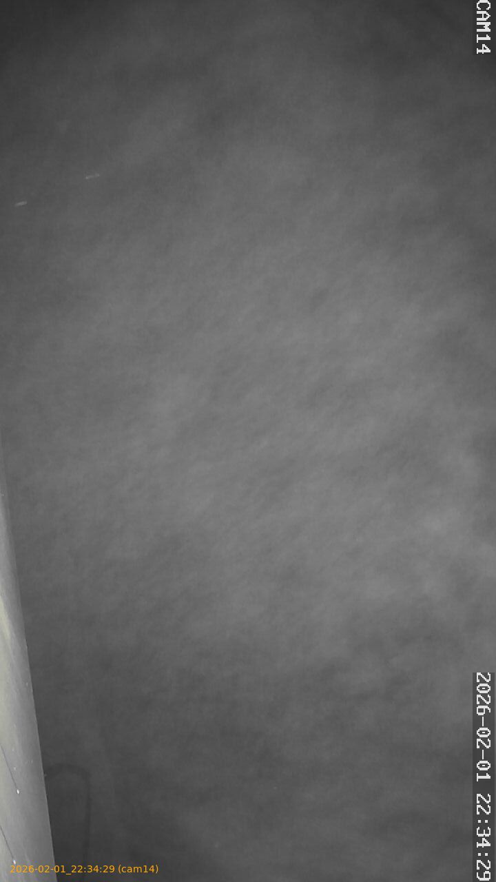 thumbnail_20260201223429