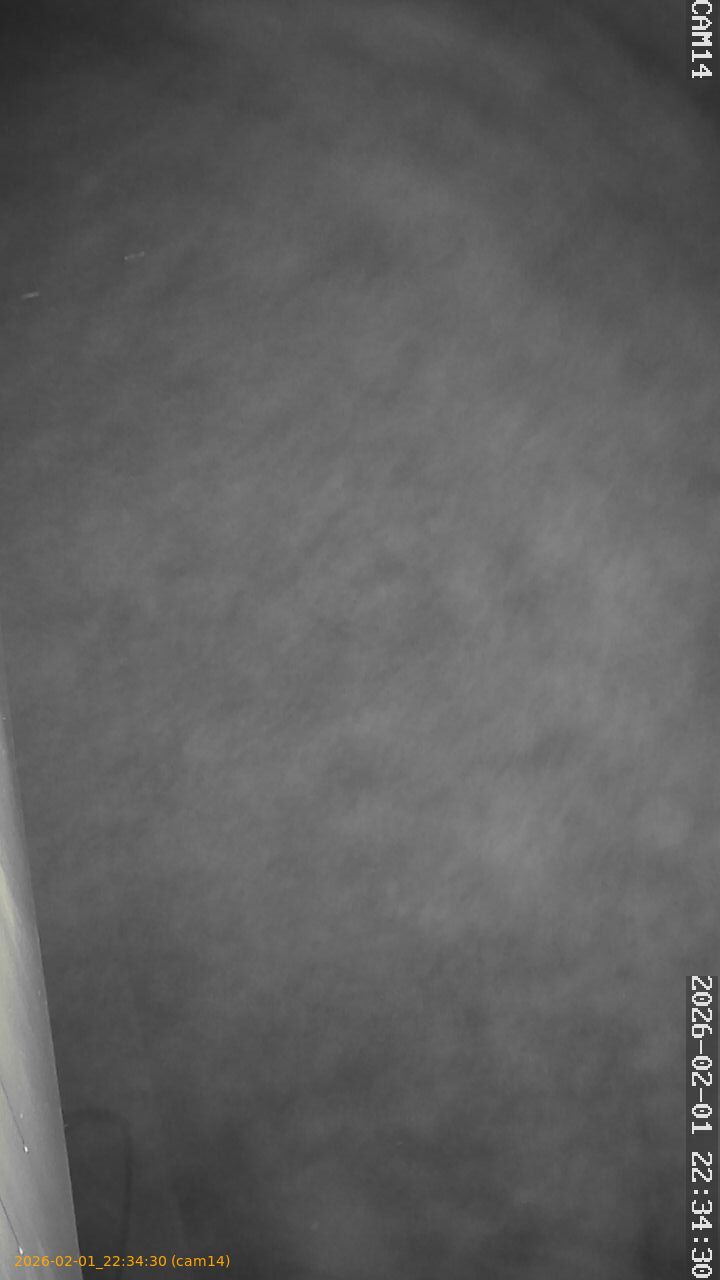 thumbnail_20260201223430