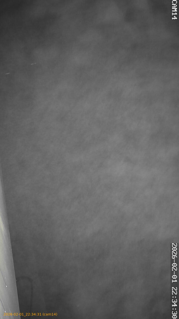 thumbnail_20260201223431