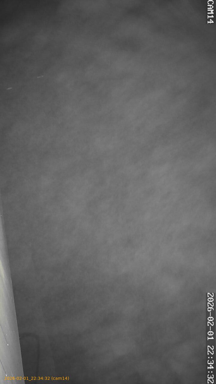 thumbnail_20260201223432