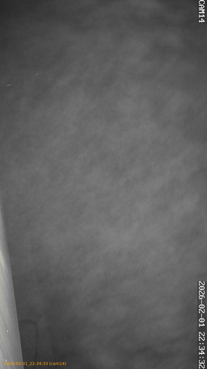 thumbnail_20260201223433