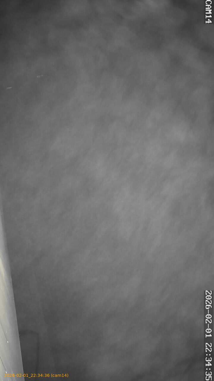 thumbnail_20260201223436