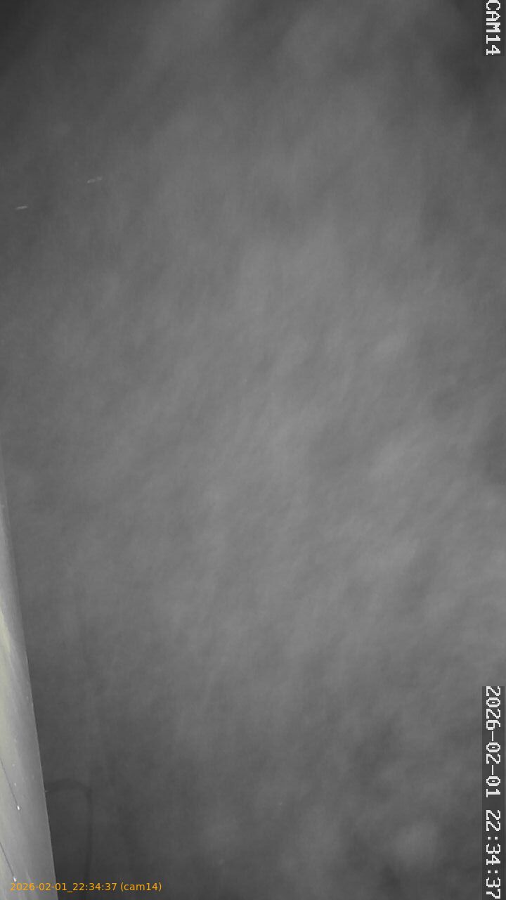 thumbnail_20260201223437