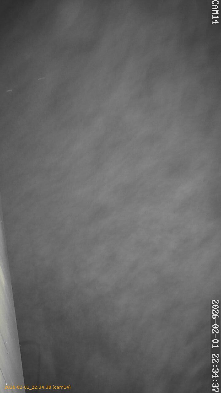 thumbnail_20260201223438