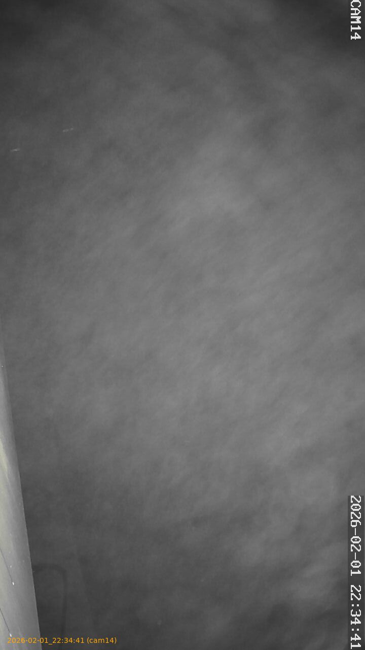 thumbnail_20260201223441