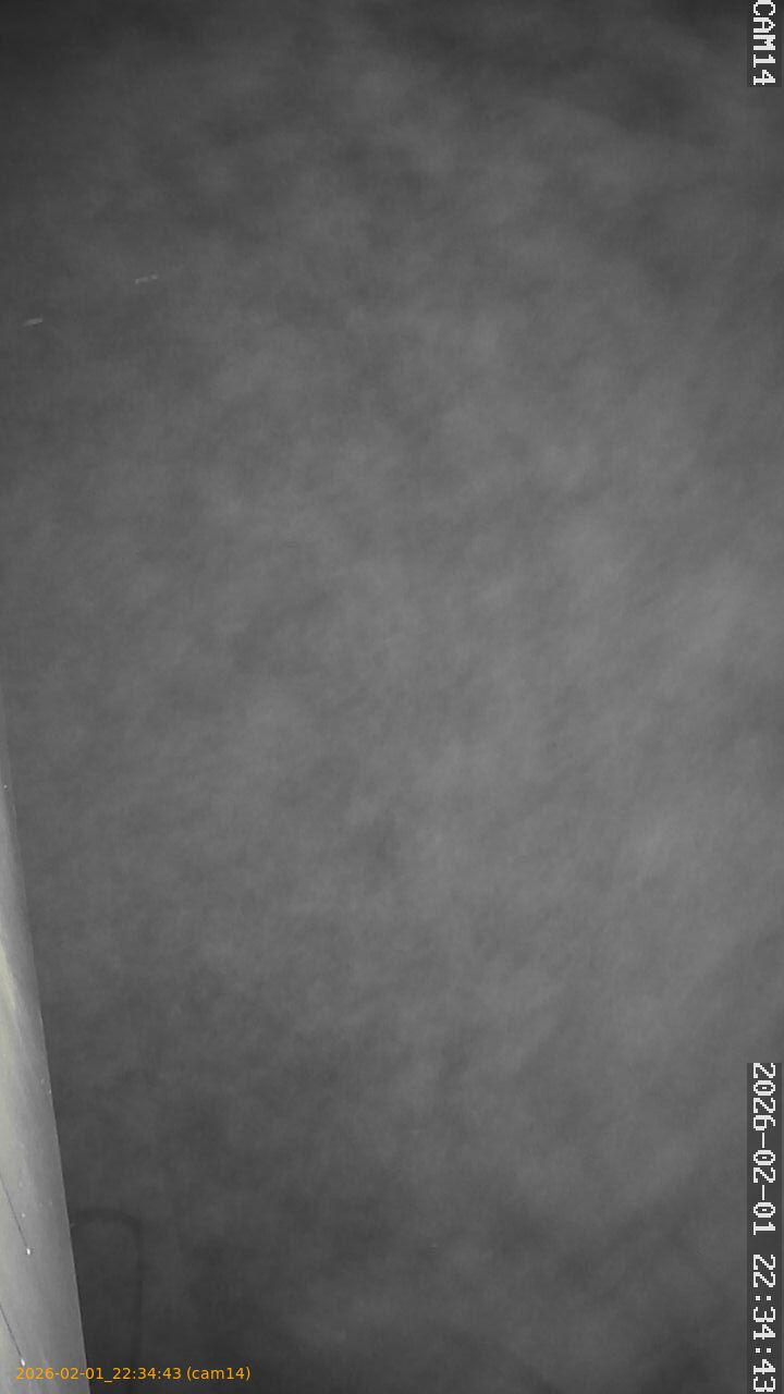 thumbnail_20260201223443