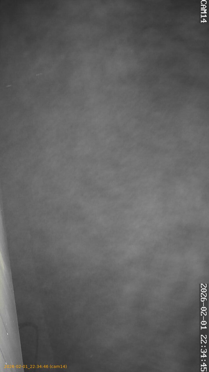 thumbnail_20260201223446