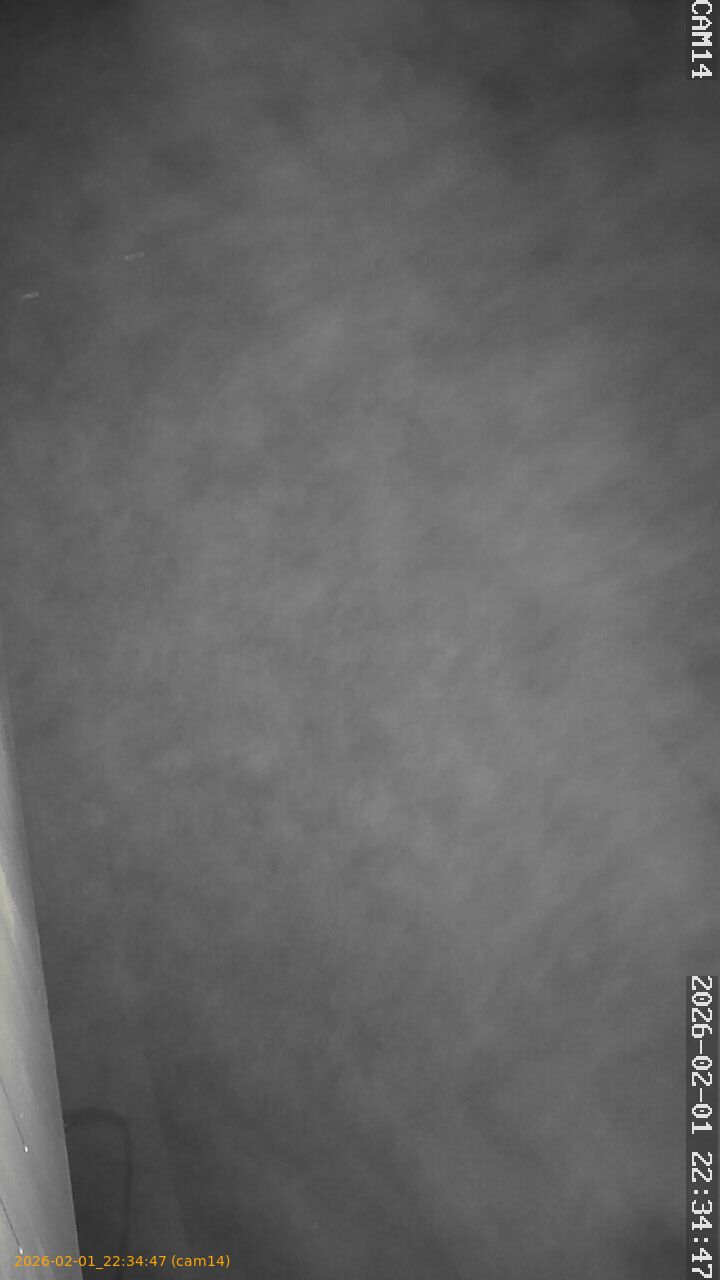 thumbnail_20260201223447