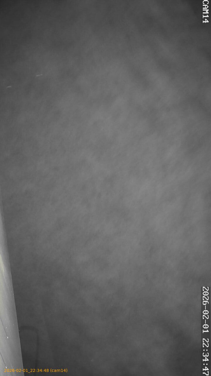 thumbnail_20260201223448