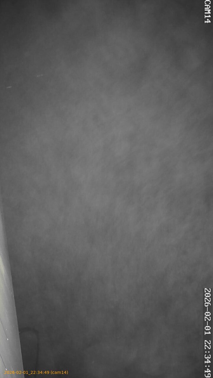 thumbnail_20260201223449